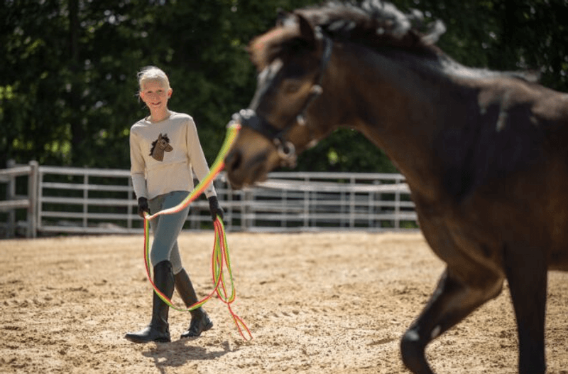 HKM -Rainbow- Longeringstau 8m