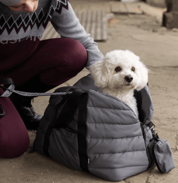 KLMacey Dog Blanket Bag